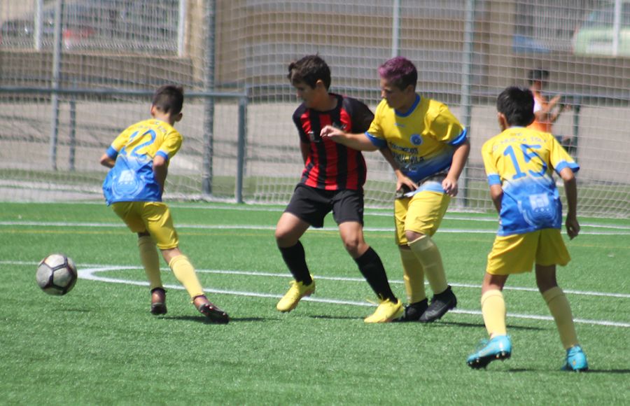 El Nueva Isla fue campeón en fútbol 7 alevín federado. 