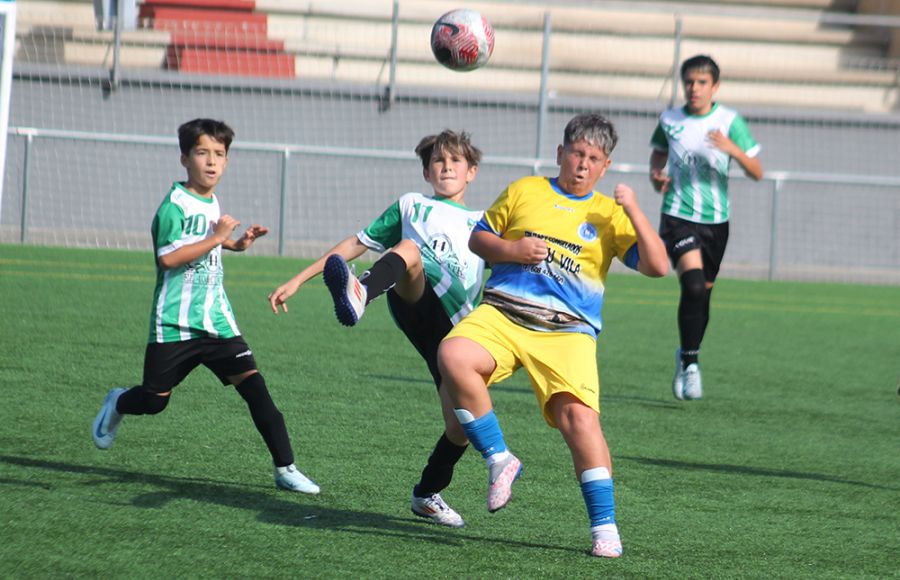 Conozca los partidos, horarios y campos de la jornada de fútbol del fin de semana